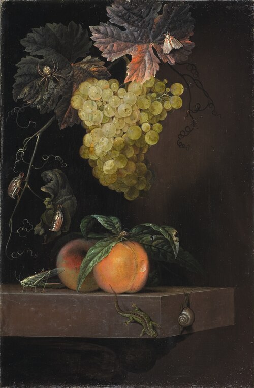 Still Life with Fruit, Lizard and Insects, 1664, Ottmar Elliger