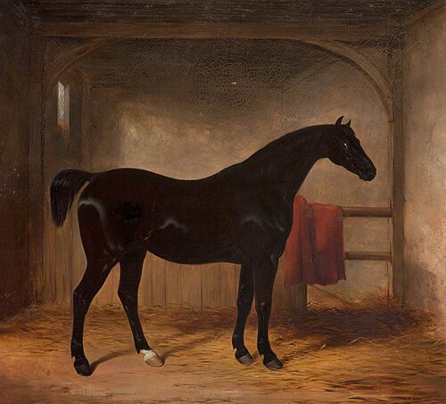 Black Horse in a Loose Box, 1836, Henry Barraud