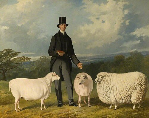 Valentine Barford (1786–1864), with His Purebred Sheep, 1857, Henry Barraud