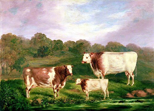 Towneley Pedigrees, 1859, Henry Barraud