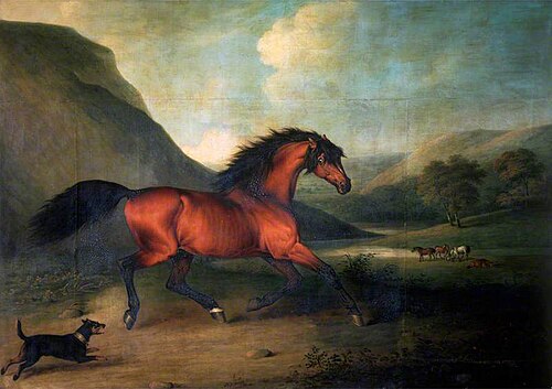 The English Blood-Horse 'Fidget', 1811, Henry Bernard Chalon