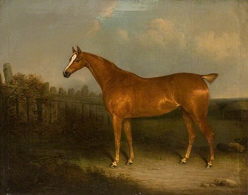 A Chestnut Hunter, 1825, Henry Bernard Chalon