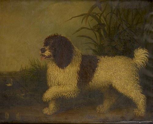 A Spaniel, 1812, Henry Bernard Chalon