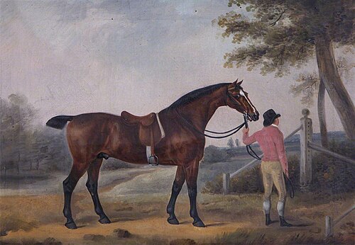 Huntsman and Horse, 1824, Henry Bernard Chalon
