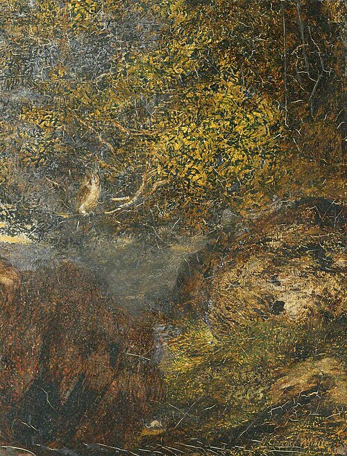 The Owl, 1865, Henry Clarence Whaite