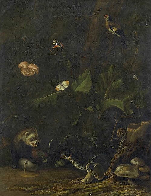 Animals and plants, 1650, Anthonie van Borssom
