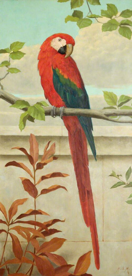 Red and Blue Macaw, 1886, Henry Stacy Marks