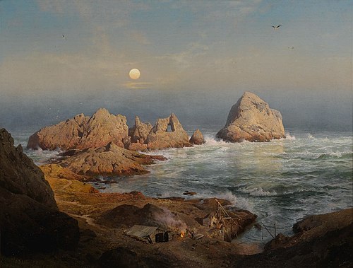 Fisherman's Bay, South Farallon Island, , Hermann Ottomar Herzog