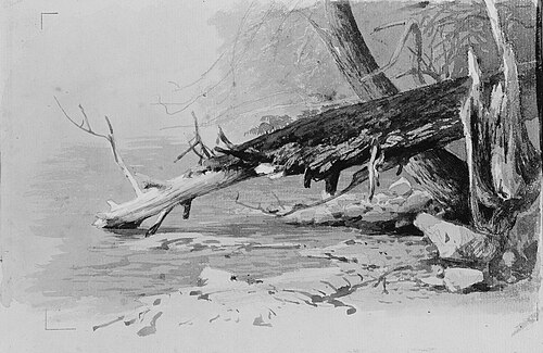Moss-Covered Log, 1881, Hermann Ottomar Herzog