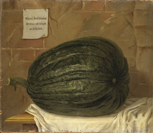 "A huge pumpkin", 1750, Olof Fridsberg