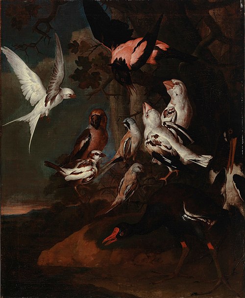 Exotic birds, , Karl Wilhelm de Hamilton