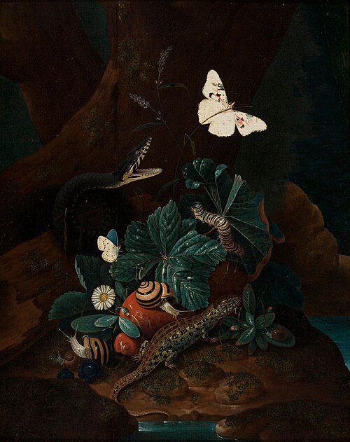 Forest Floor Still Life, , Karl Wilhelm de Hamilton