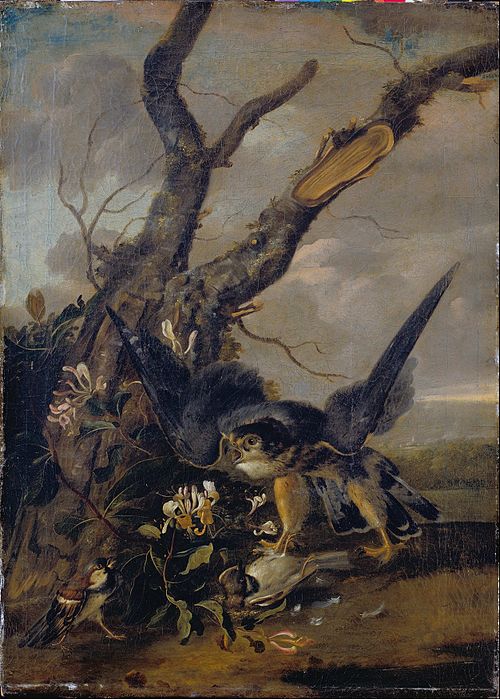 Hawk and Sparrow, 1650, Karl Wilhelm de Hamilton