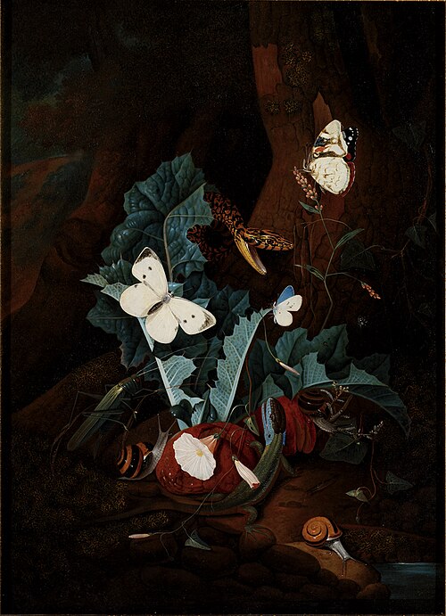 Forest Still Life, 1735, Karl Wilhelm de Hamilton