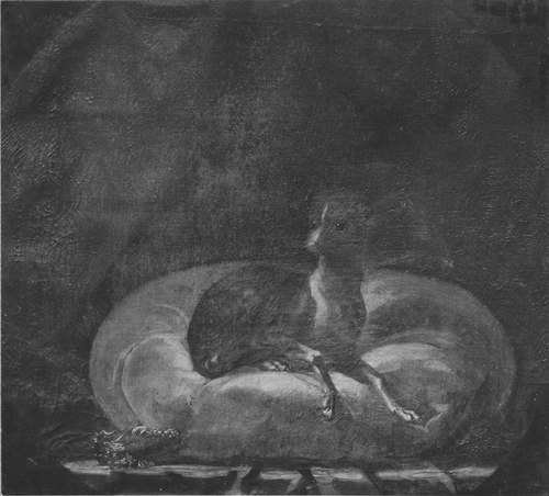 Liten vinthund, , David von Krafft