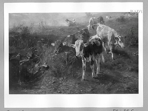 Cows in a meadow, 1891, Anton Braith