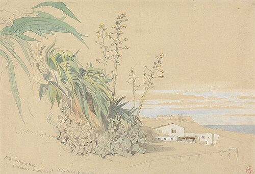 Aloes and Prickly Pears, Tarragona, Spain, , Harry John Johnson