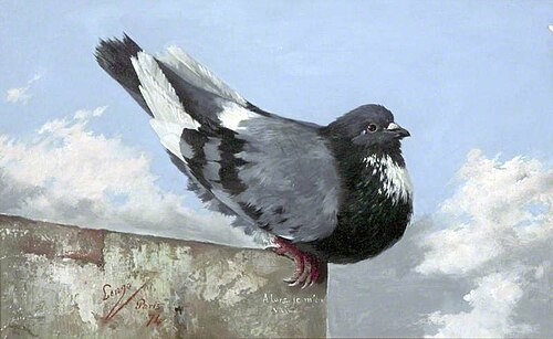 Blue Pigeon, 1874, Horacio Lengo