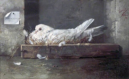 White Pigeon, 1874, Horacio Lengo