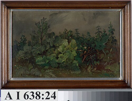 Leafs and Flowers, , Johan Knutson