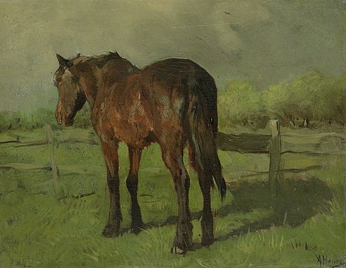 Cheval, 1874, Anton Mauve