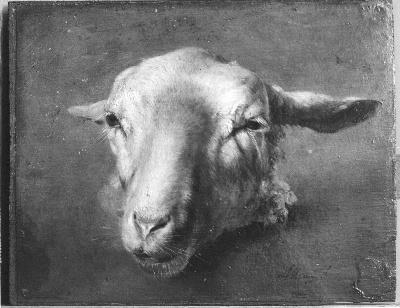 Schaapskop, 1870, Anton Mauve