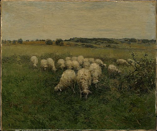 Sheep Grazing in an Open Field, , Anton Mauve