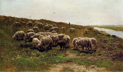 Moutons sur une digue, 1870, Anton Mauve