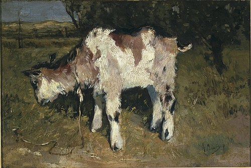 Goat, 1880, Anton Mauve