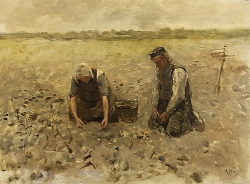On the field, 1870, Anton Mauve