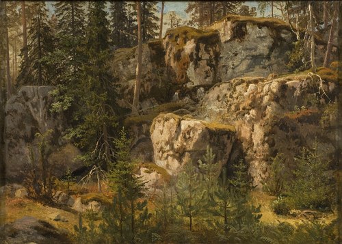Stony Forest, 1853, Marcus Larson