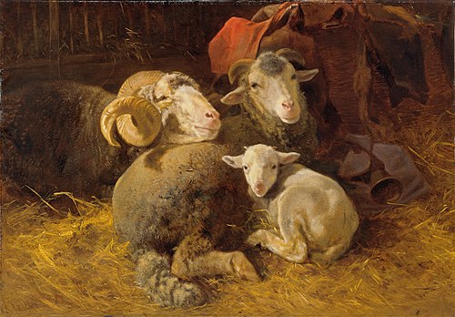 Schafe im Stall, , Anton Schrodl