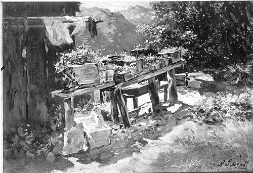 Landschaftsstudie, , Anton Schrodl