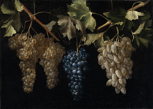 Four Bunches of hanging Grapes, 1636, Juan Fernández el Labrador
