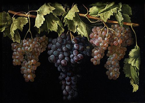 Still Life with four Bunches of Grapes, 1630, Juan Fernández el Labrador
