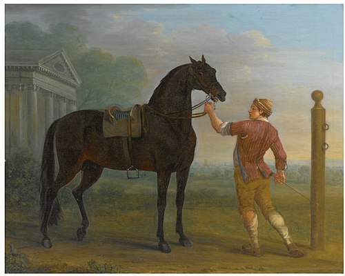 A Dark Bay Stallion, Possibly the Byerley Turk, , John Wootton