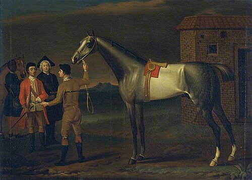 'Lamprey' (A Racehorse), , John Wootton