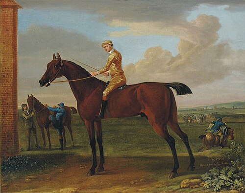 Bay Wanton, 1725, John Wootton