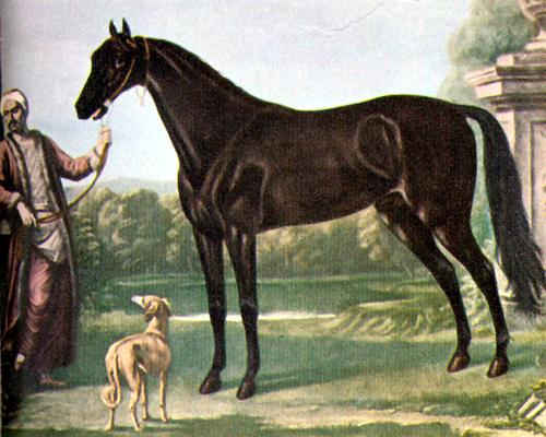 The Byerley Turk, , John Wootton