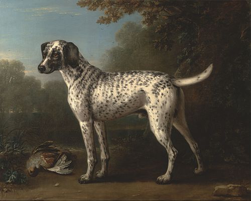 A Grey Spotted Hound, 1738, John Wootton