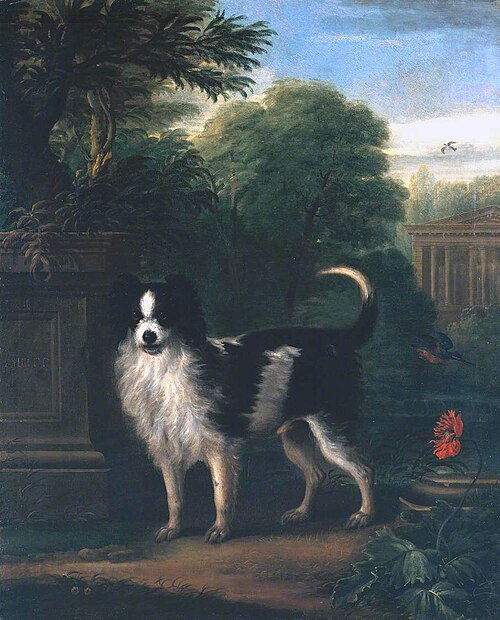 Muff, a Black and White Dog, 1745, John Wootton