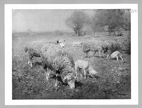 Sheep in a meadow, 1903, Heinrich von Zügel