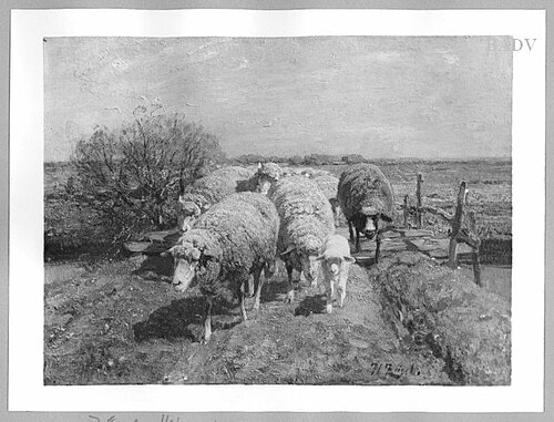 sheep, 1903, Heinrich von Zügel