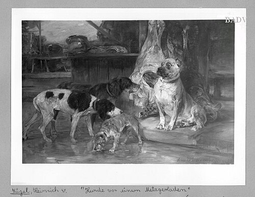 Dogs in a meat-shop, 1903, Heinrich von Zügel