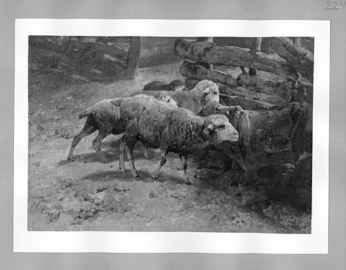 sheep, 1903, Heinrich von Zügel