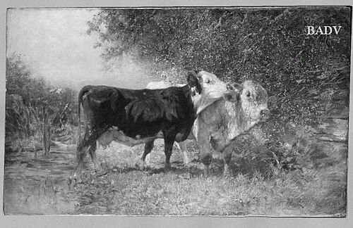 cow and bull, 1875, Heinrich von Zügel