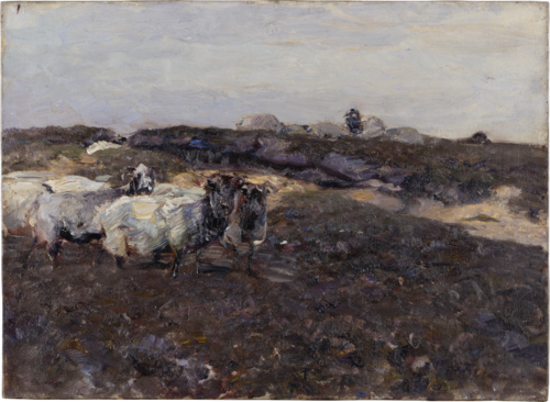 Sheeps in Moorland, 1902, Heinrich von Zügel