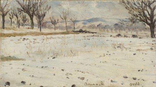 Bonn am Rhein. Winter Landscape, , Helmer Osslund