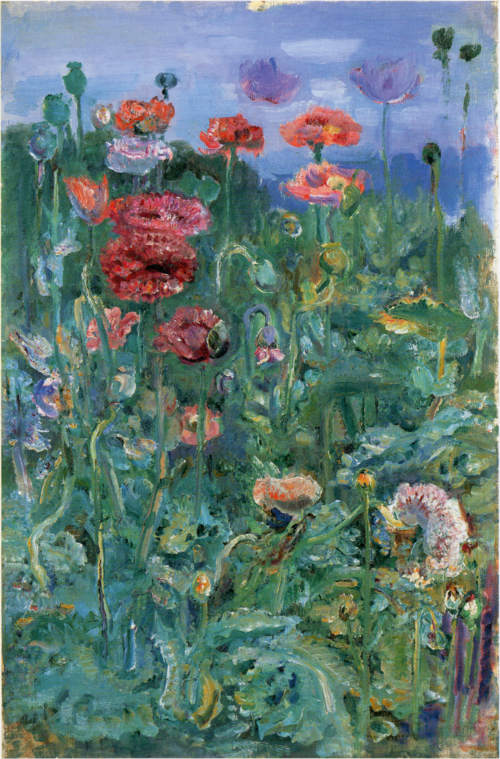 Poppies(Shirley Poppies), , Kumaji Aoyama