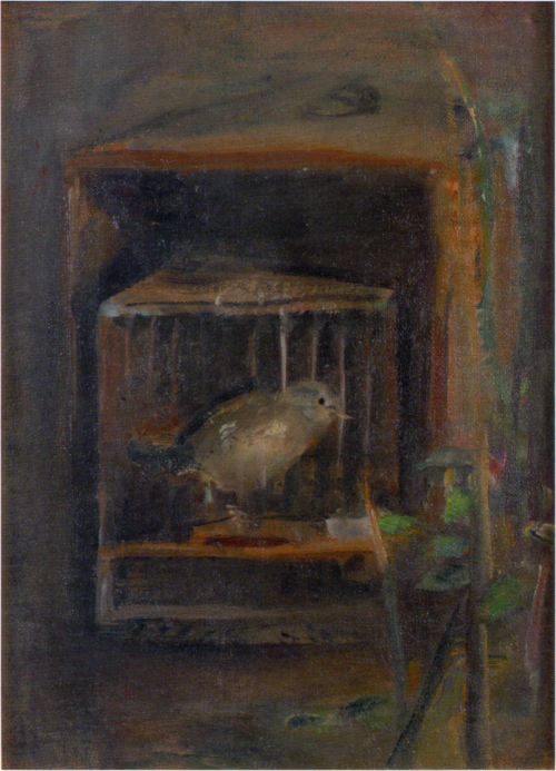 A Bird Cage, , Kumaji Aoyama